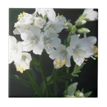 Jacobs Ladder  Trivet Tile