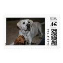 Jade & Amber postage by msbordeaux7 Jade & Amber postage
