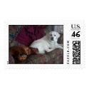 Jade, Ruby & Amber postage by msbordeaux7 Jade, Ruby & Amber postage