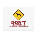 Jagdterrier Post Card