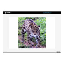 JAGUAR 15" LAPTOP DECALS