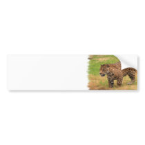 Jaguar Bumper Sticker