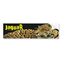 JaguaR Bumper Sticker bumper stickers