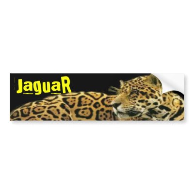 JaguaR Bumper Sticker by elenaind