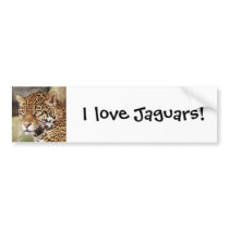 Jaguar Bumper Sticker bumper stickers