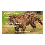 Jaguar Business Card