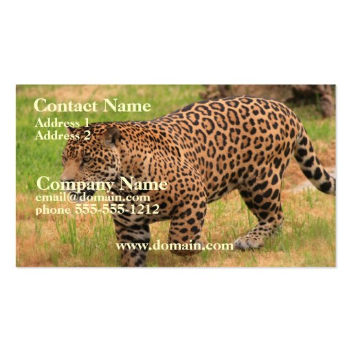 Jaguar Business Card (front side)