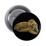Jaguar Button
