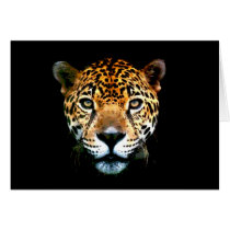 Jaguar Card