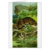 Jaguar cards by pinkalmond Jaguar cards
