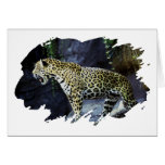 Jaguar Cards