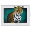 Jaguar cards