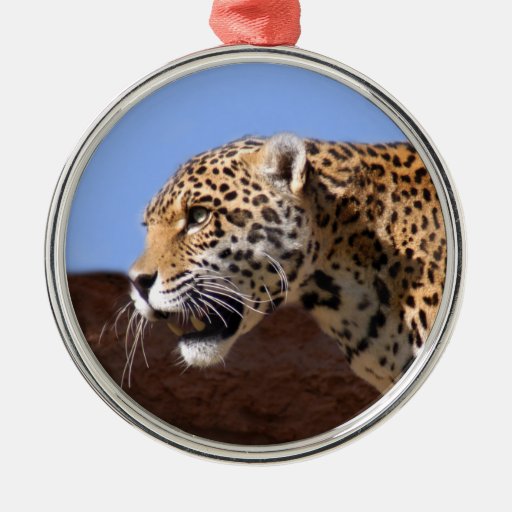Jaguar Christmas Ornament | Zazzle
