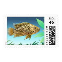 Jaguar Cichlid Aquarium Fish Postage postage