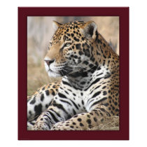 Jaguar Classic Print