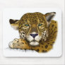 Jaguar colored mouse pads