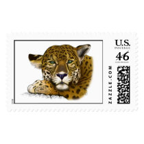 Jaguar colored postage stamp