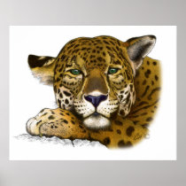 Jaguar colored poster