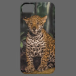 Jaguar Cub iPhone Case casemate cases