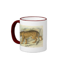 Jaguar, Felis onca Mug