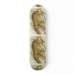 Jaguar, Felis onca Custom Skateboard