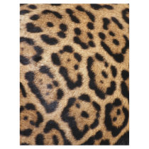 "Jaguar Fur" Flyers