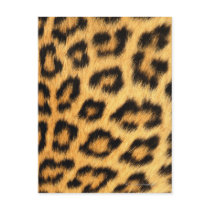 Jaguar Fur Post Cards