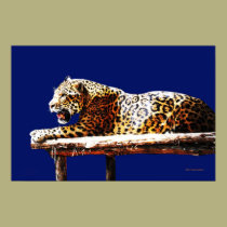 Jaguar God Of The Night posters