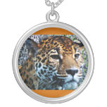 jaguar, cat, necklace, endangered, large, big,