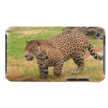 Jaguar  iTouch Case iPod Touch Case-Mate Case
