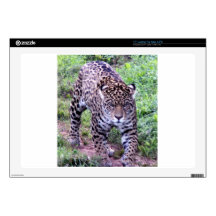 JAGUAR LAPTOP SKINS