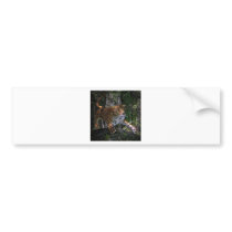 Jaguar leaping in the forest bumper stickers