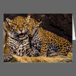 Jaguar Mom & Cub Greeting Card cards