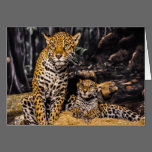 Jaguar Mom & Cub Greeting Card cards