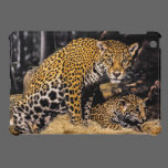 Jaguar Mom & Cub iPad Case ipad mini cases