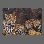 Jaguar Mother & Cub iPad Case ipad mini cases