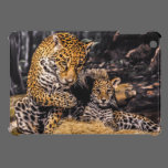 Jaguar Mother & Cub iPad Case ipad mini cases