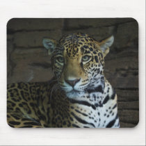 Jaguar mousepad mousepads