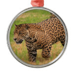 Jaguar  Ornament