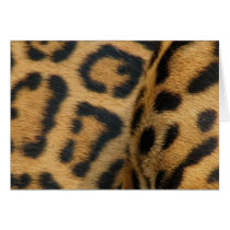 Jaguar Pattern Greeting Card