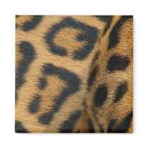 Jaguar Pattern Square Magnet