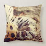 Jaguar Paw Pillow