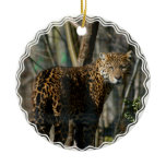 Jaguar Photo Ornament