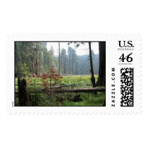 Jaguar Photography postage by DalePate Jaguar Photography postage