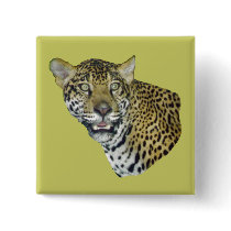 Jaguar Picture buttons
