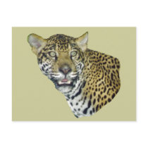 Jaguar Picture postcards by kphotos Jaguar Picture postcards