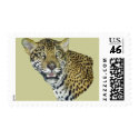 Jaguar Picture US Stamp