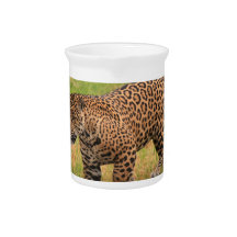 Jaguar Pitcher