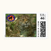 Jaguar postage