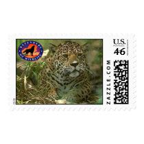 Jaguar postage